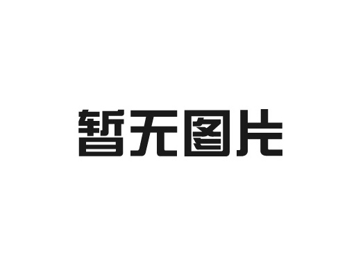 FESTO氣缸費(fèi)斯托德國(guó)DSNU-16-100-P-A